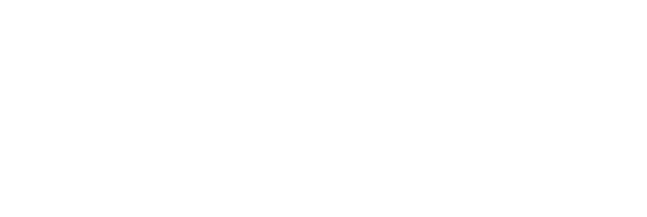 LIMAYE Consulting Delivered